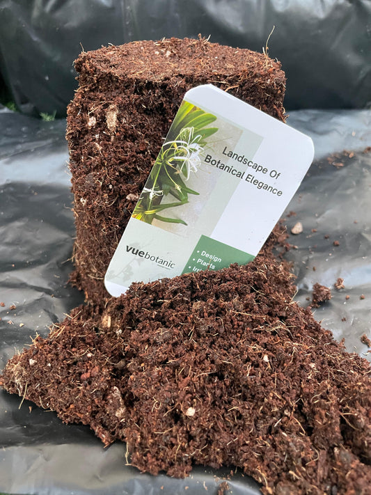 Premium Peat Moss – Soil Conditioner